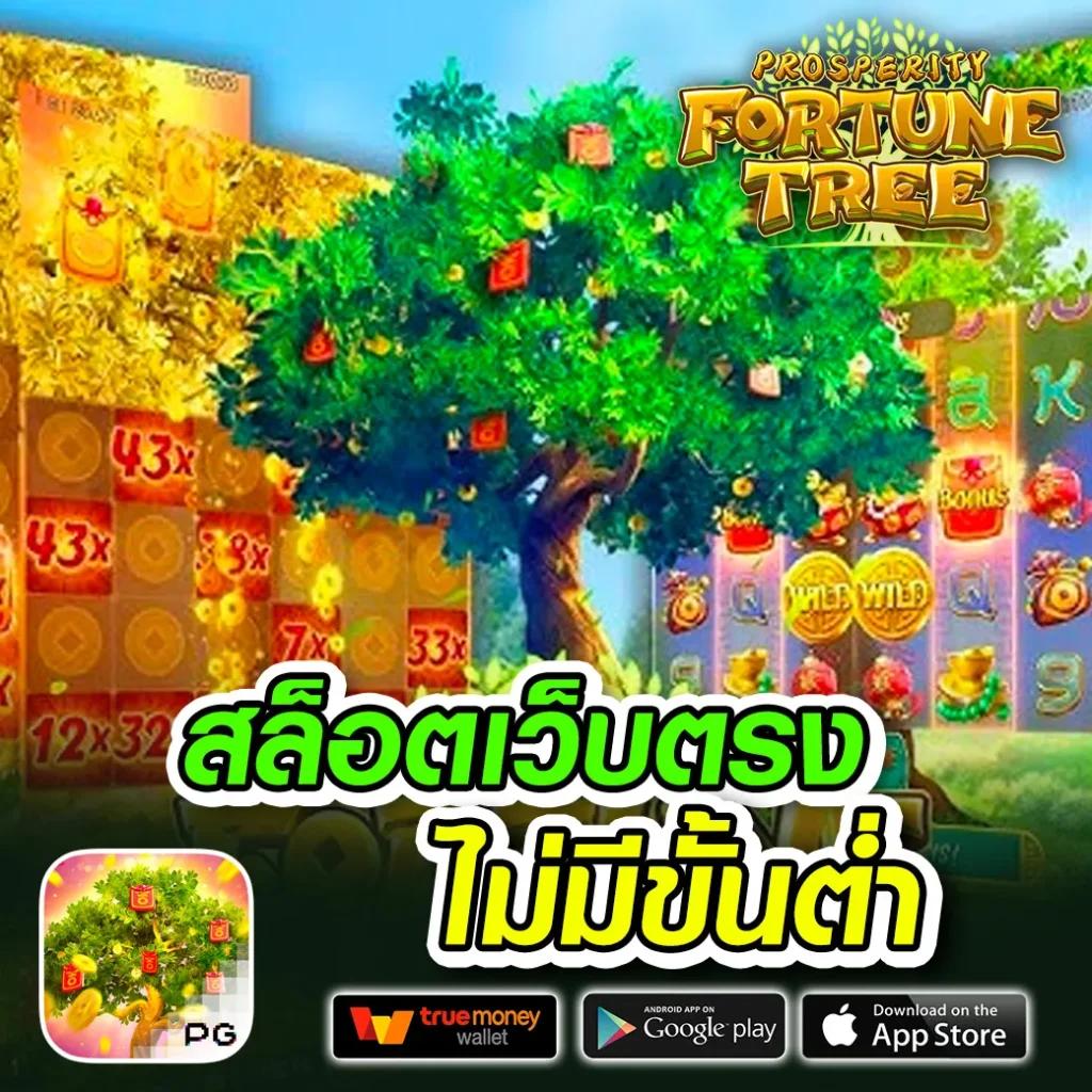 อเวจี สล็อต เว็บตรง สล็อต ฝากถอนออโต้ ไม่ผ่านเอเย่นต์ 2026